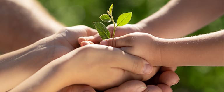 El 5 de junio se celebra el Día Mundial del Medio Ambiente. Descubre cómo colaborar desde casa con pequeñas acciones que cambiarán el futuro-1
