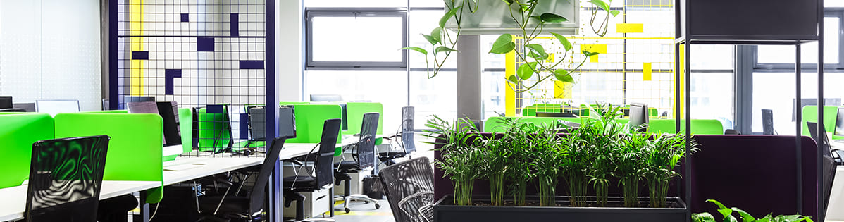 Espacios verdes, la clave para la productividad - SmartGreen