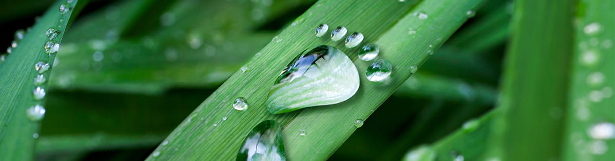 Cómo calcular la huella de carbono y reducir su impacto | SmartGreen