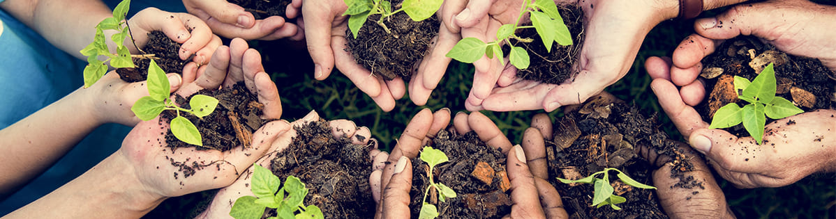 Cómo cuidar el medio ambiente: acciones básicas | SmartGreen