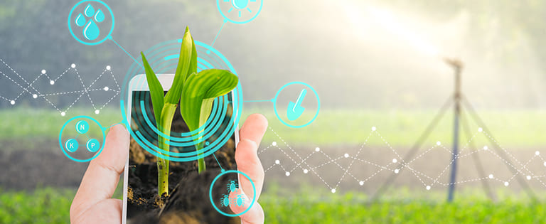 Cómo cuidar el medio ambiente: acciones básicas | SmartGreen