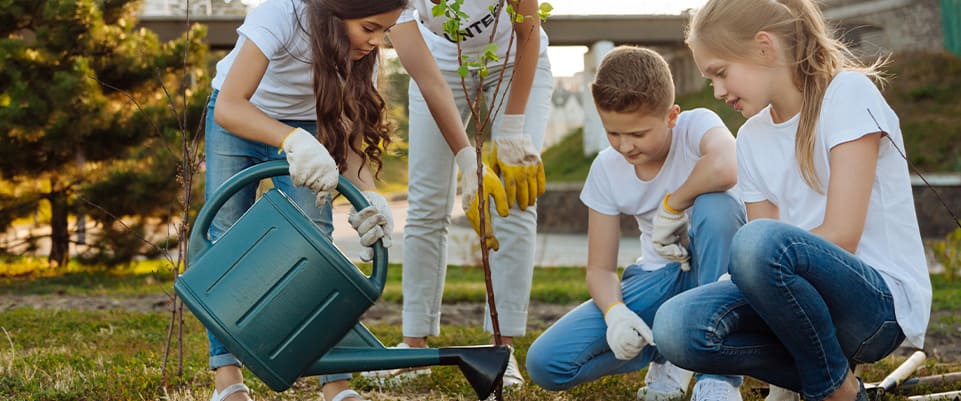 Plantar un árbol: más vida en tu jardín o balcón | SmartGreen