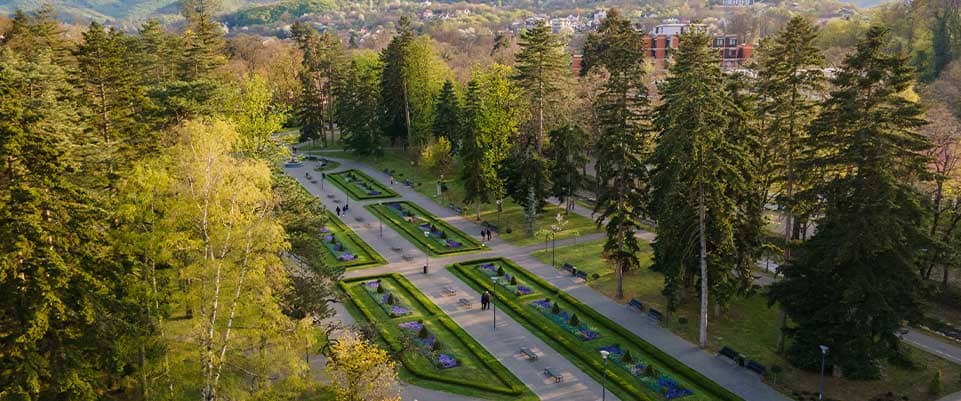 Sostenibilidad ambiental: espacios verdes para la vida | SmartGreen