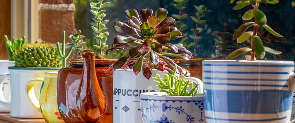 Upcycling: ¿qué es y cómo hacerlo en el hogar? | SmartGreen