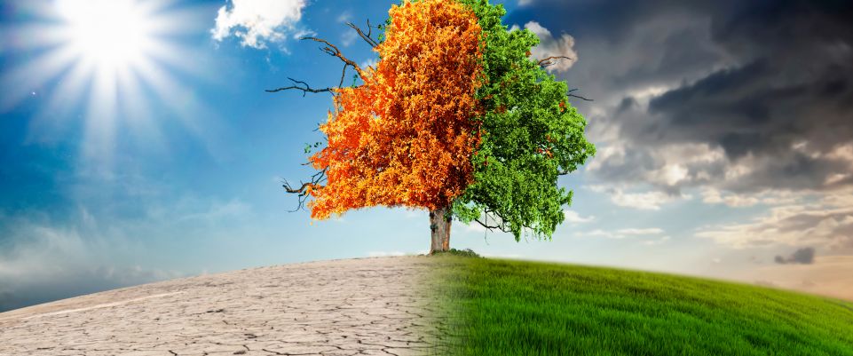 Desertificación, tan lejos y tan cerca | SmartGreen