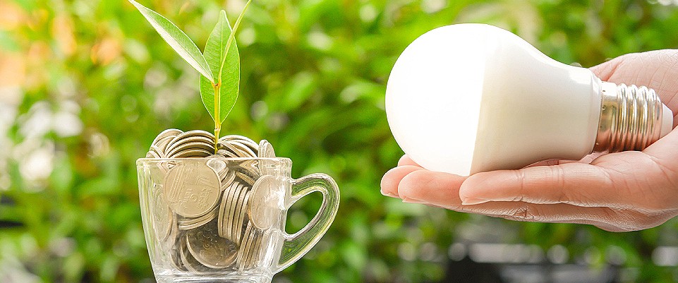 Día Mundial del Ahorro de Energía: ¿qué puedes hacer? | Iberdrola